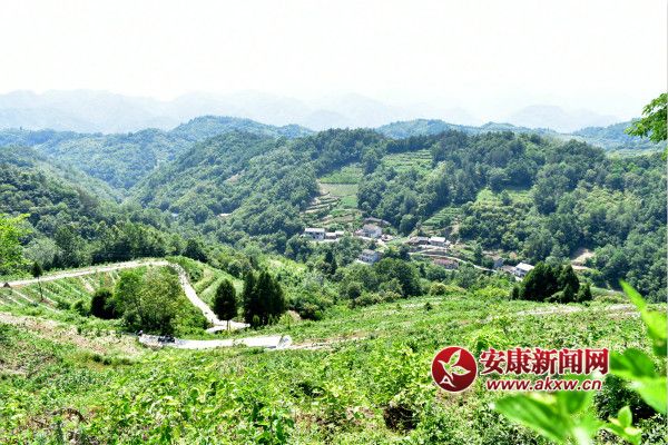 Dr(sh)ֵģG͵ɣ~M(mn)֦^_meitu_2.jpg